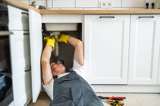 Best Plumbing Inspection Services  in Munising, MI